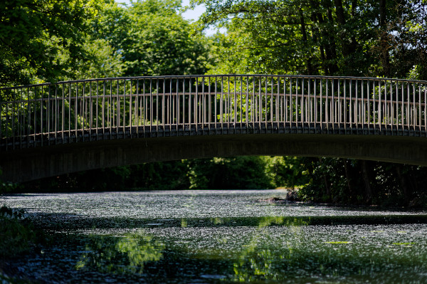 Eine Brücke als Symbol für Verbindung und das Überwinden von Schwierigkeiten